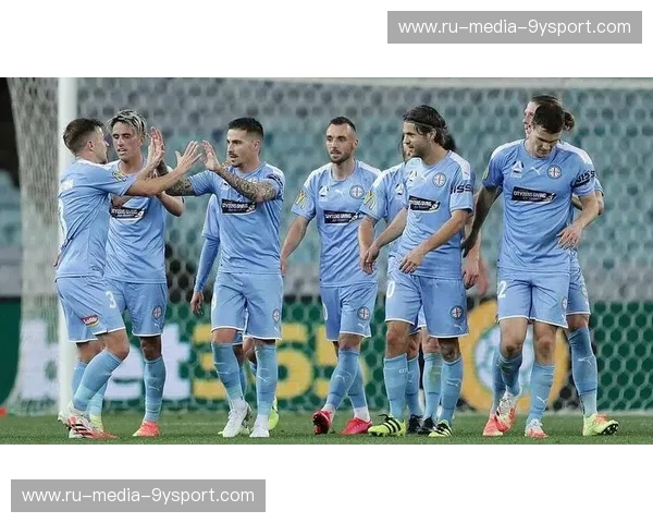 墨尔本城与中央海岸的绿茵对决：一场激情与荣耀的碰撞